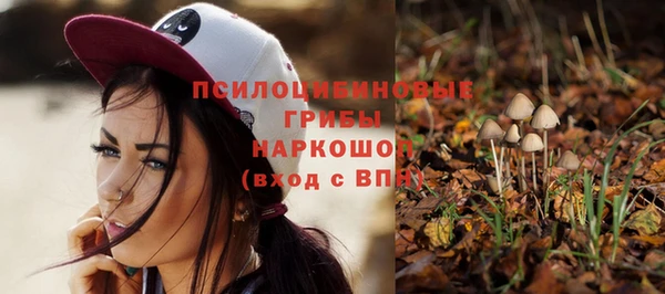 прущая мука Алексин