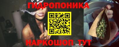 прущие грибы Камышлов
