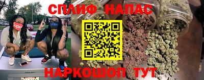 гидра Рыбинск