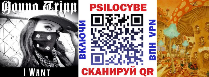 Псилоцибиновые грибы GOLDEN TEACHER  hydra ссылка  Новороссийск 