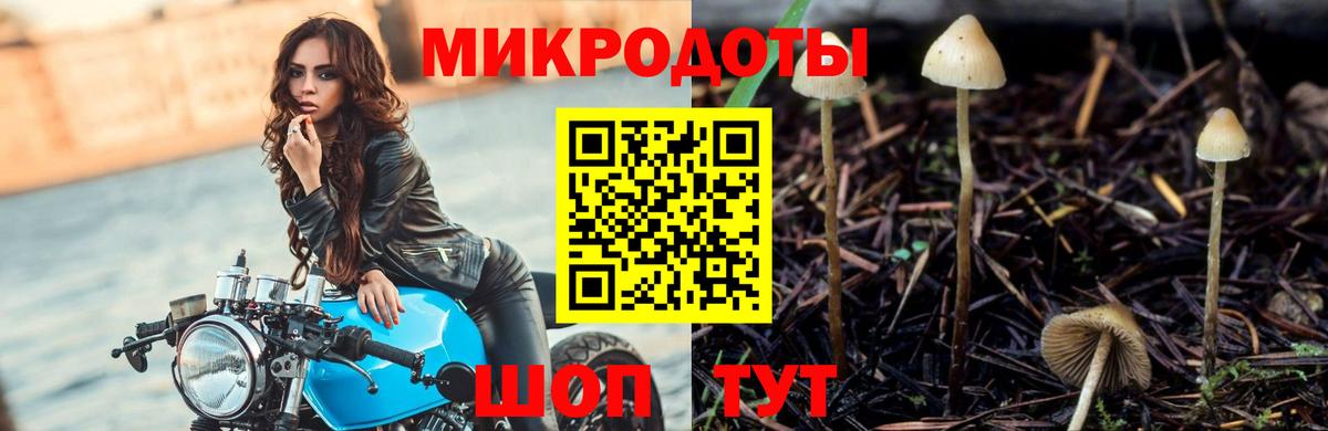 Новороссийск  наркошоп  Вход с VPN  Псилоцибиновые грибы Magic Shrooms 